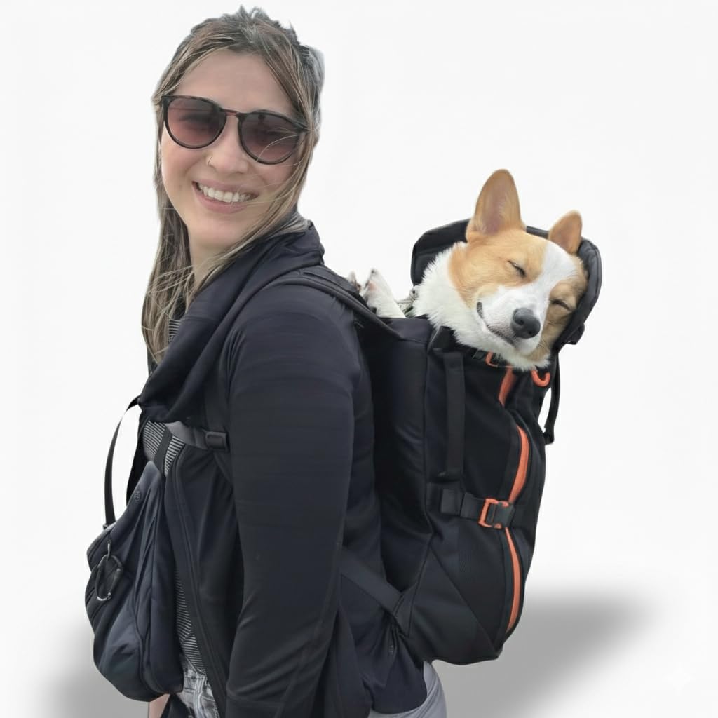 Dog Backpack Carrier P4101