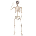 5.4Ft Movable Joints Plastic Skeleton R578796