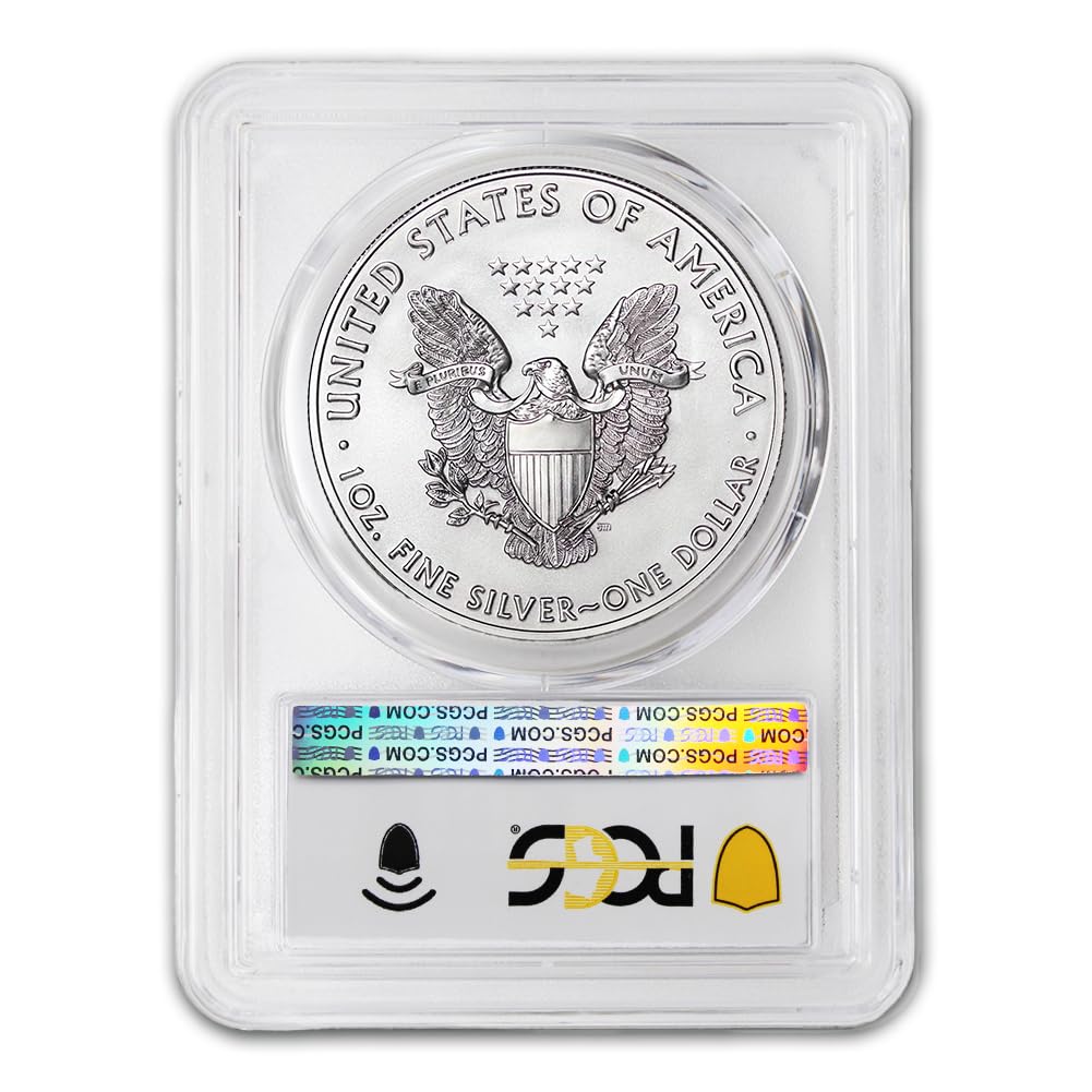 1 oz American Silver Eagle Coin S600893