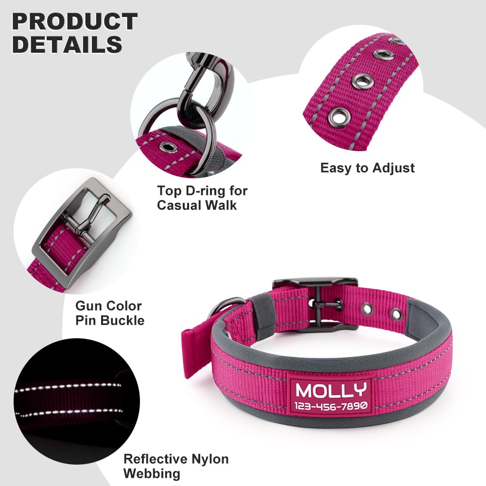 Personalized Dog Collar with Name and Number Y55109