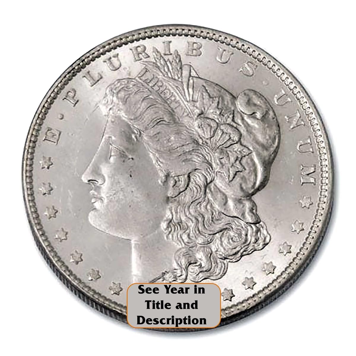 Morgan Silver Dollar Z89695