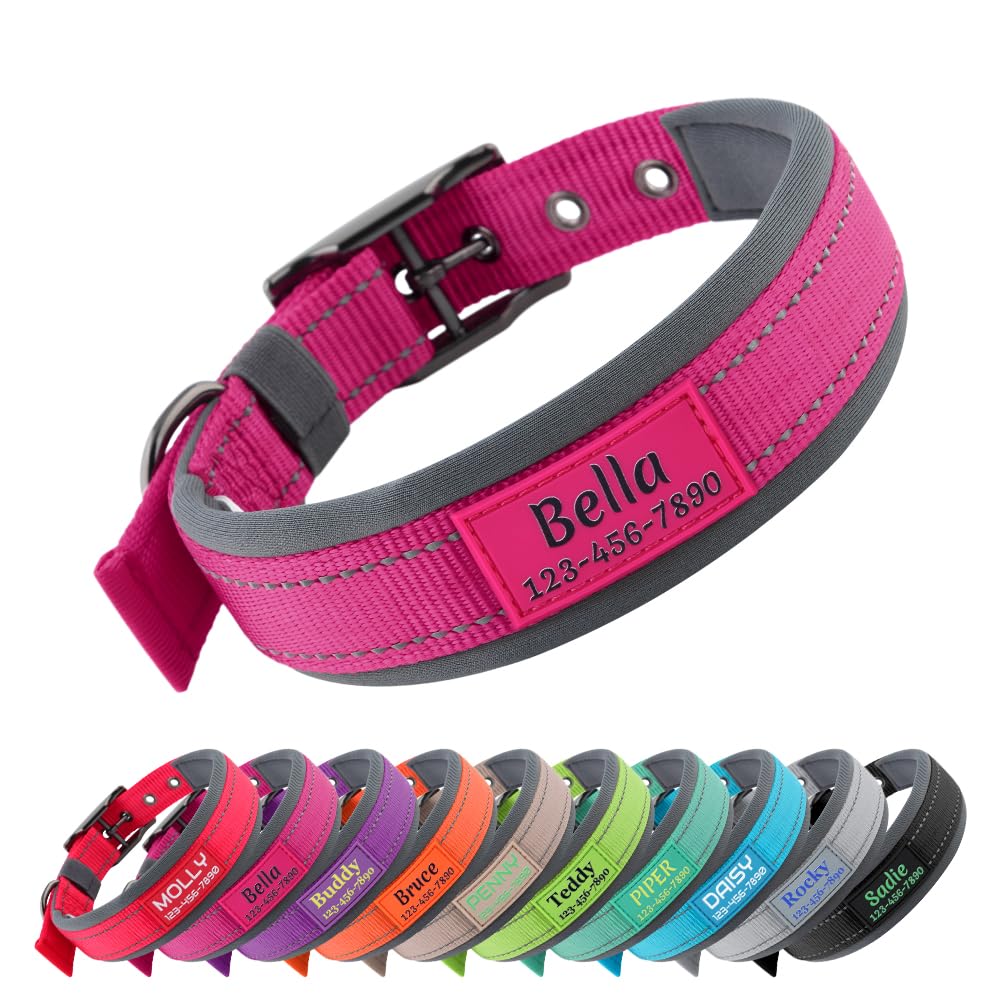 Personalized Dog Collar with Name and Number Y55109