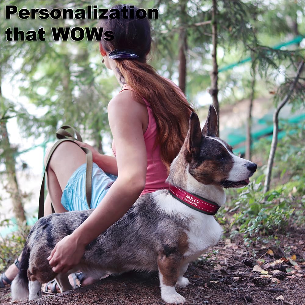 Personalized Dog Collar with Name and Number Y55109