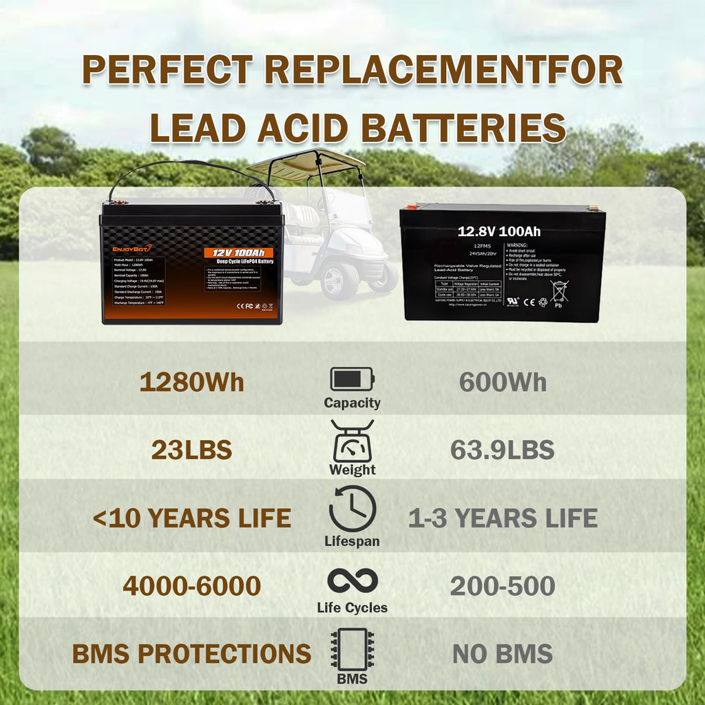12V 100Ah LiFePO4 Lithium Battery, 100A BMS Deep Cycle Battery with Low Temp Cut Off, 2 Pack Q834