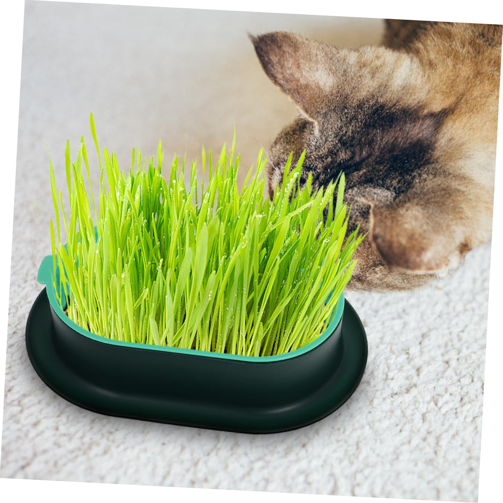 3 Pack Plastic Cat Grass Planter Boxes T509