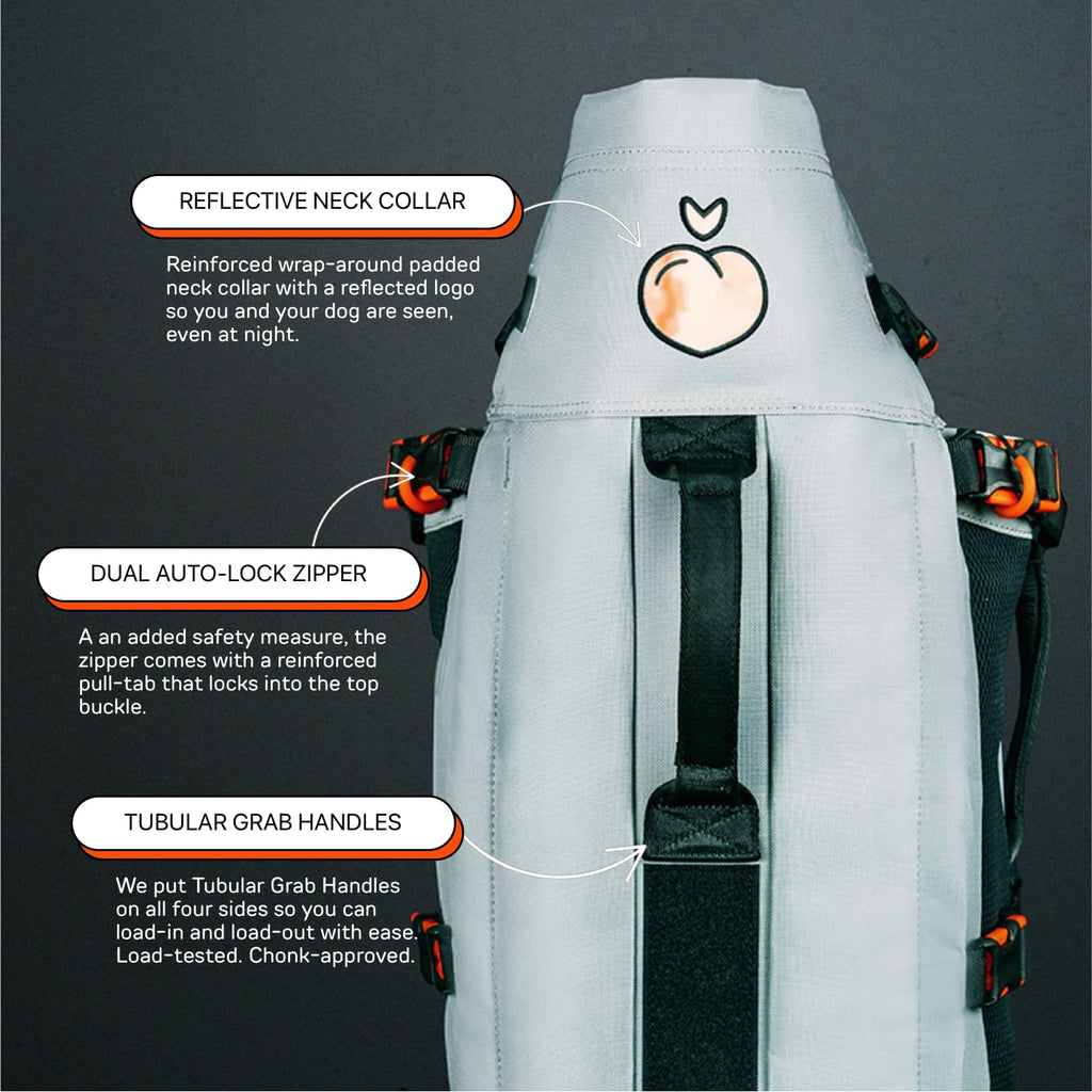 Dog Backpack Carrier P4101