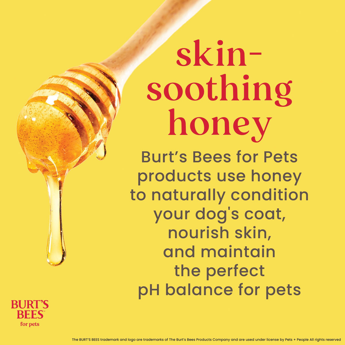 Fragrance-Free Oatmeal Dog Conditioner 10 Fl Oz R765
