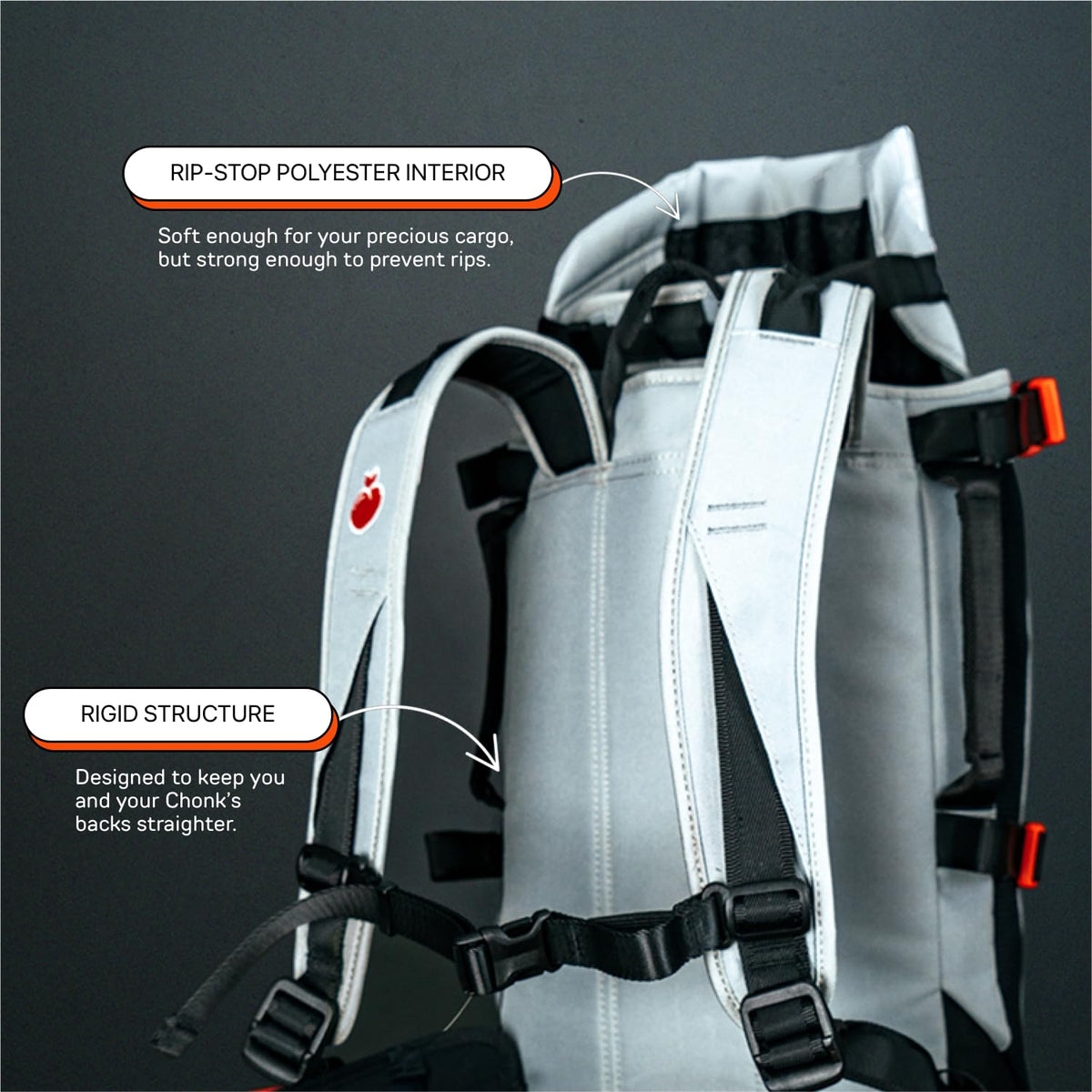 Dog Backpack Carrier P4101