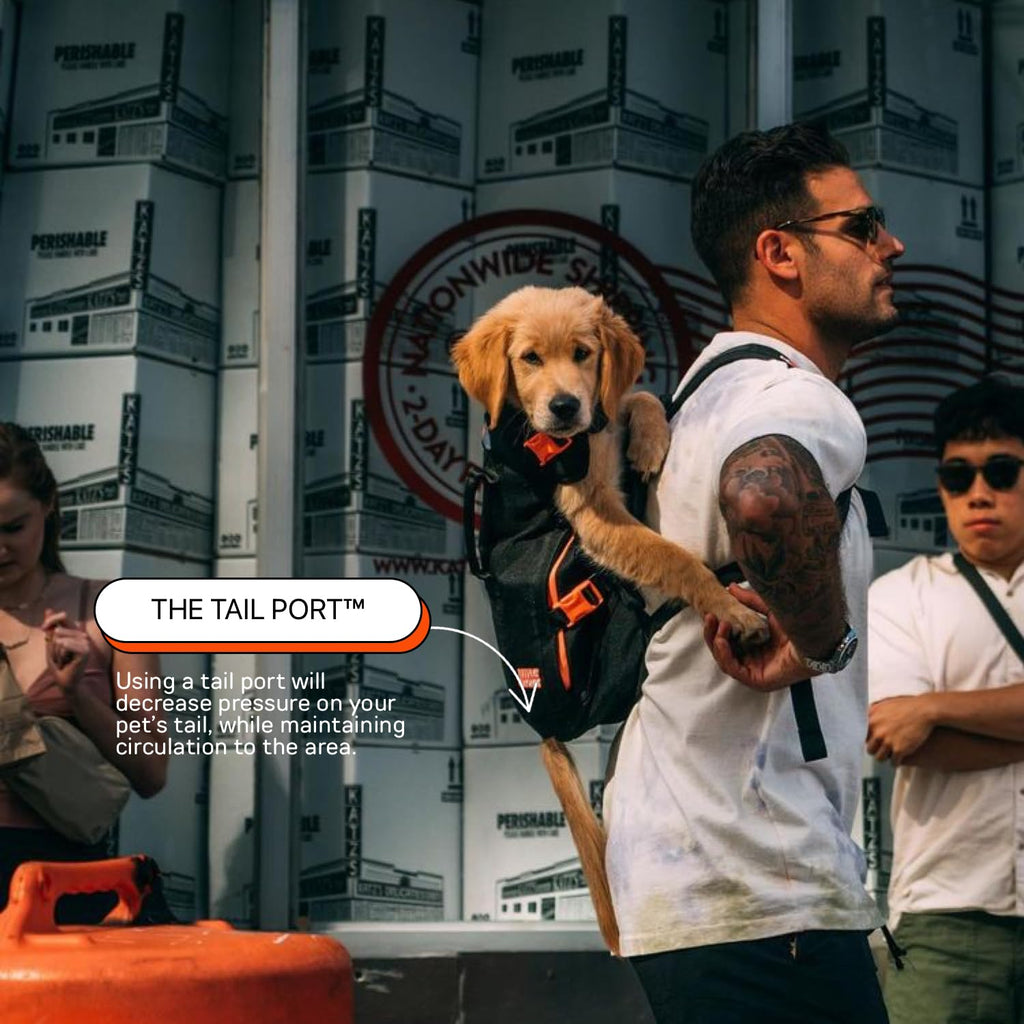 Dog Backpack Carrier P4101