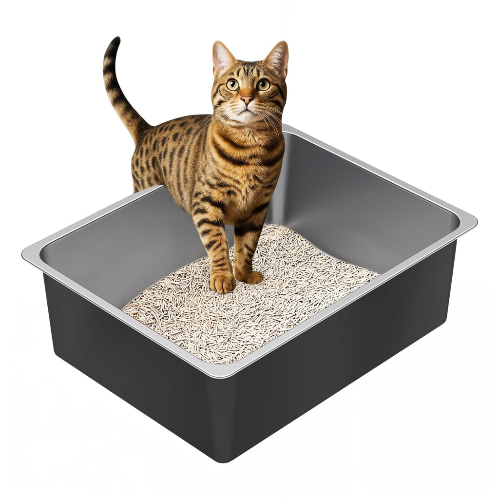 High Sided Stainless Steel Cat Litter Box B236