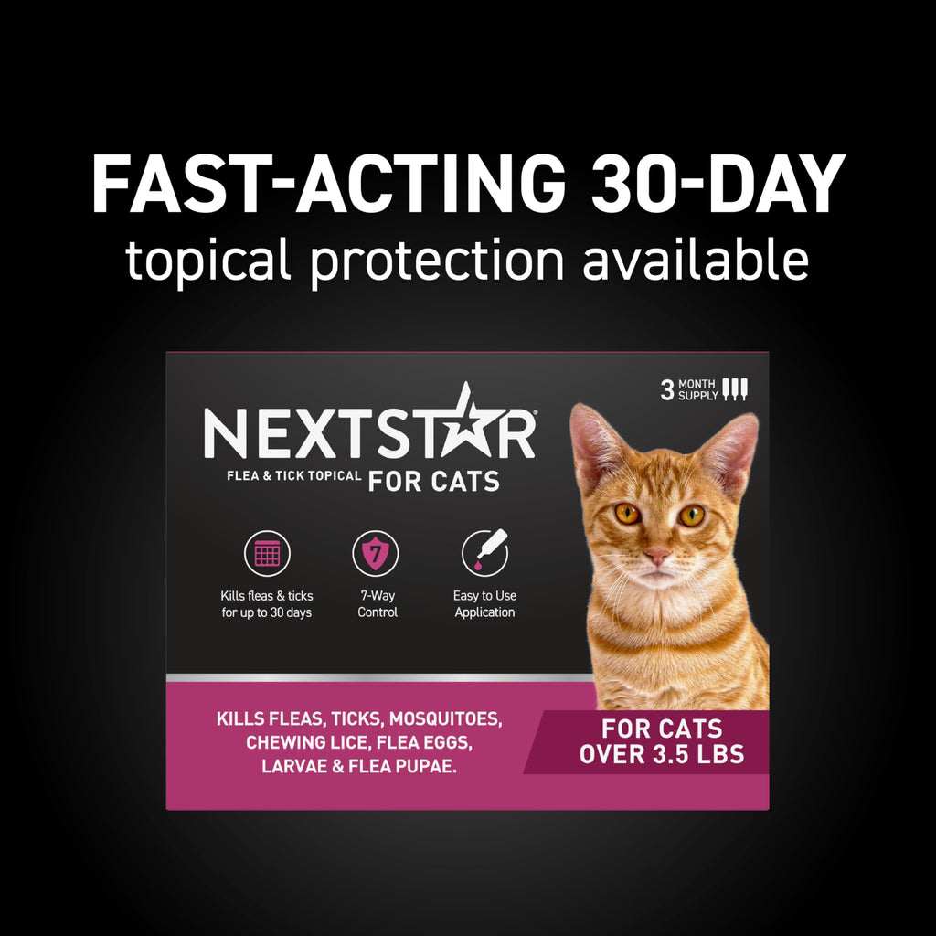 Flea & Tick Topical Cats 3-Month T8596