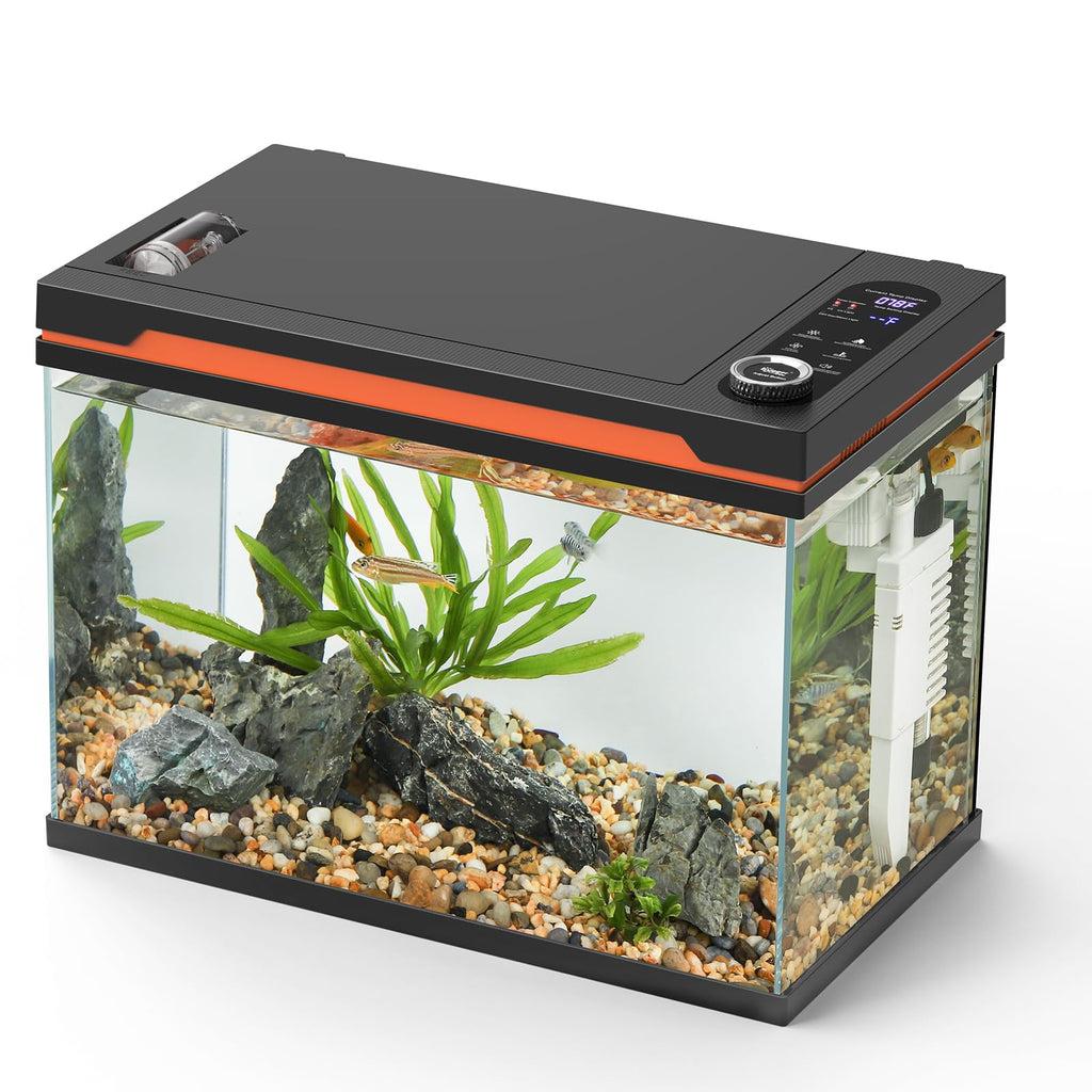 10 Gallon Glass Aquarium Starter Kit with Light Heater Pump Filter J207