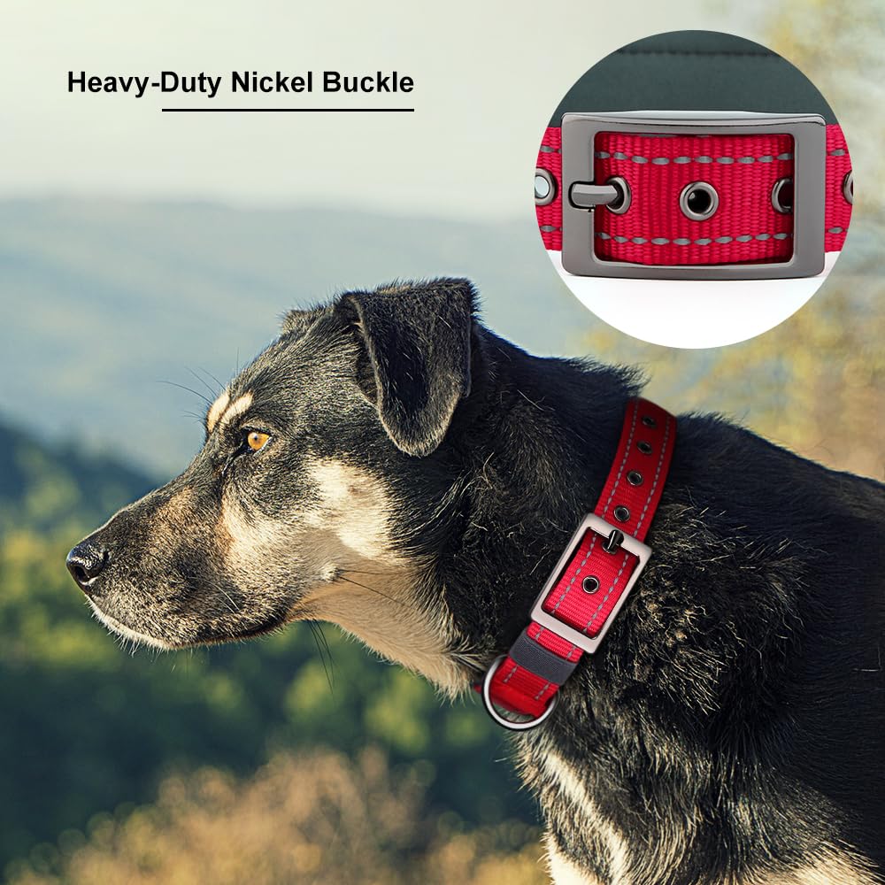 Personalized Dog Collar with Name and Number Y55109