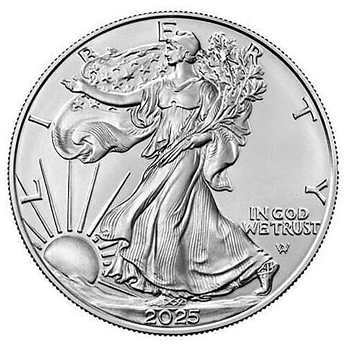 American Silver Eagle .999 Fine Silver Uncirculated R49729