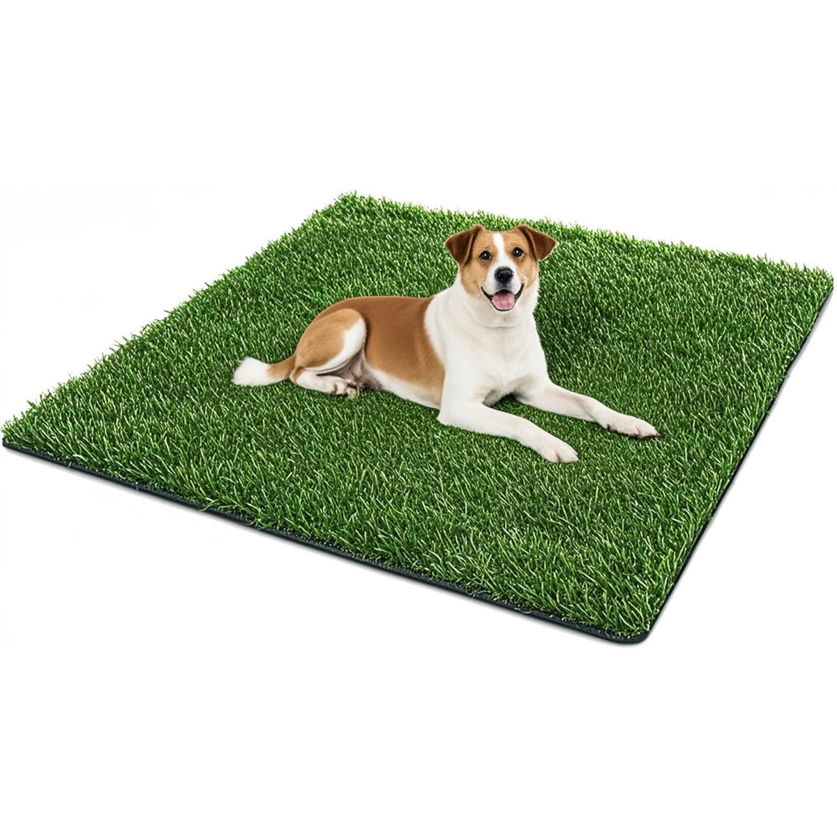 50.1x30.5In Artificial Grass Dog Pee Pad C750