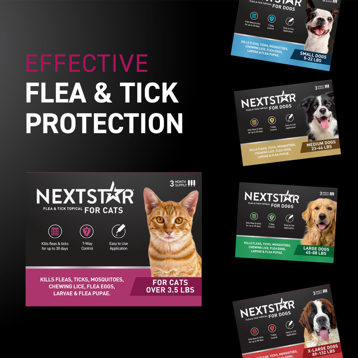 Flea & Tick Topical Cats 3-Month T8596