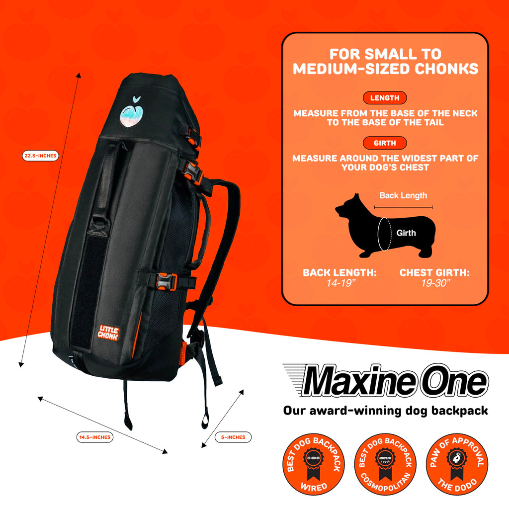 Dog Backpack Carrier P4101