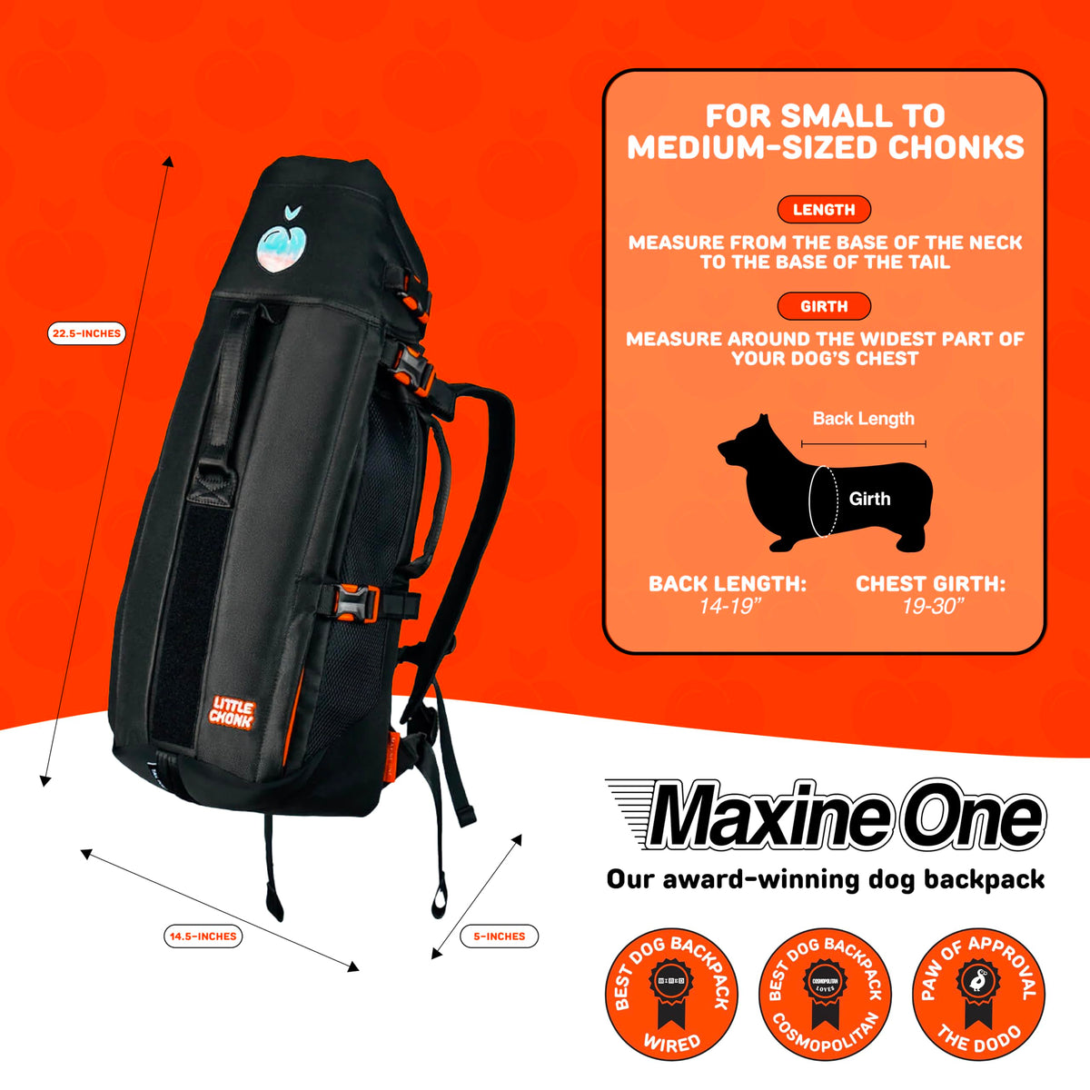 Dog Backpack Carrier P4101