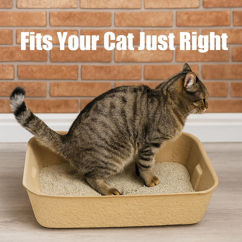 8 Pack Disposable Litter Boxes N781500