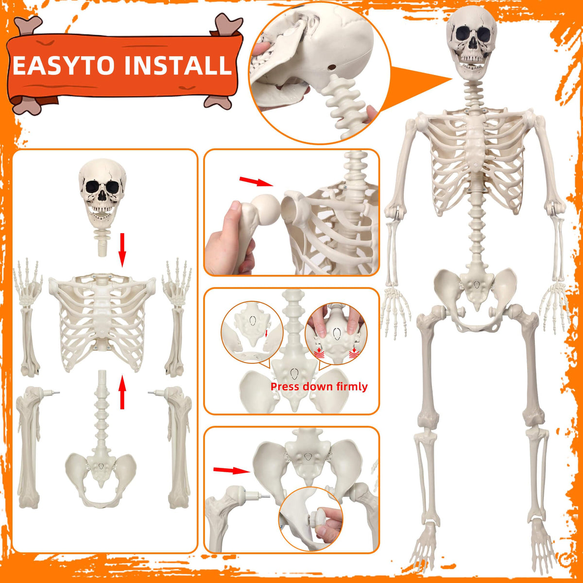 5.4Ft Movable Joints Plastic Skeleton R578796