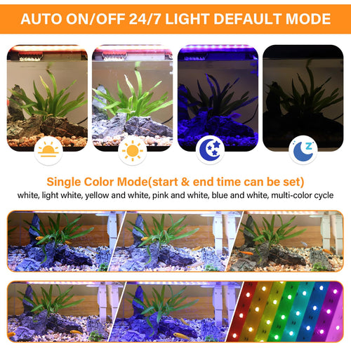 10 Gallon Glass Aquarium Starter Kit with Light Heater Pump Filter J207