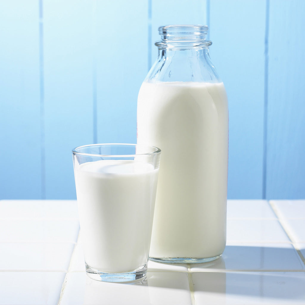 Instant Nonfat Dry Milk Powder H496