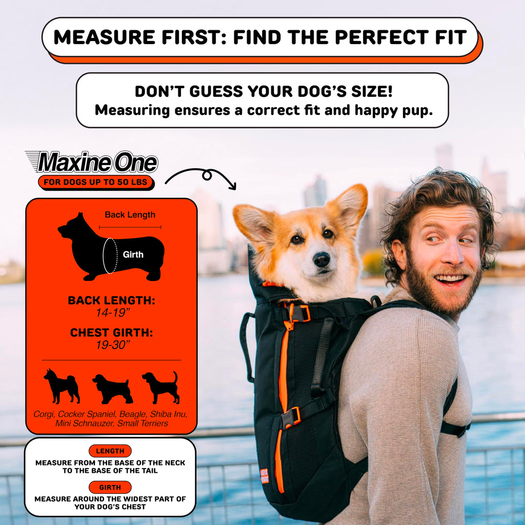 Dog Backpack Carrier P4101