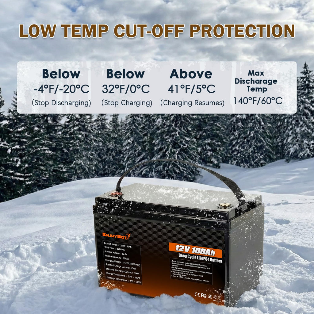 12V 100Ah LiFePO4 Lithium Battery, 100A BMS Deep Cycle Battery with Low Temp Cut Off, 2 Pack Q834