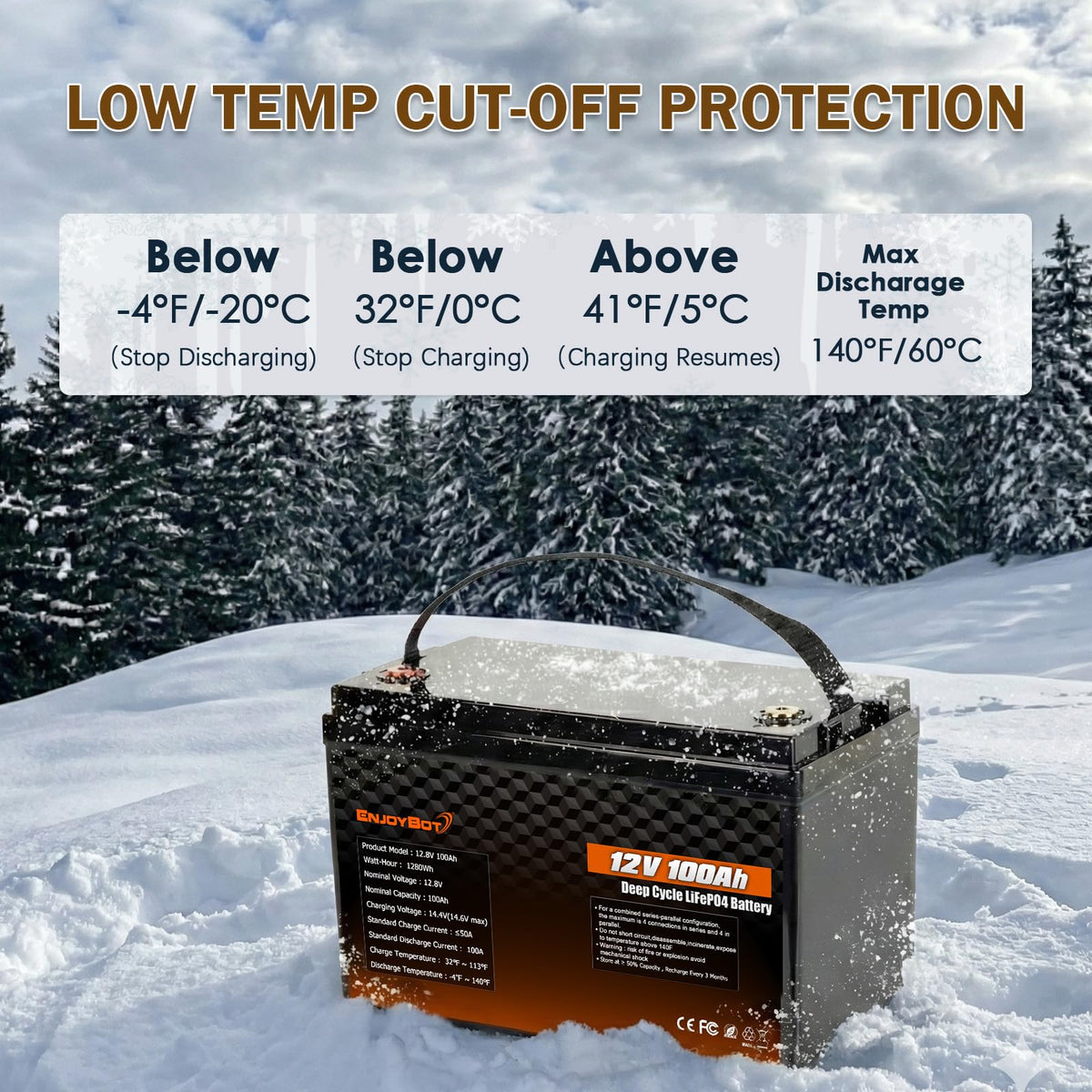 12V 100Ah LiFePO4 Lithium Battery, 100A BMS Deep Cycle Battery with Low Temp Cut Off, 2 Pack Q834