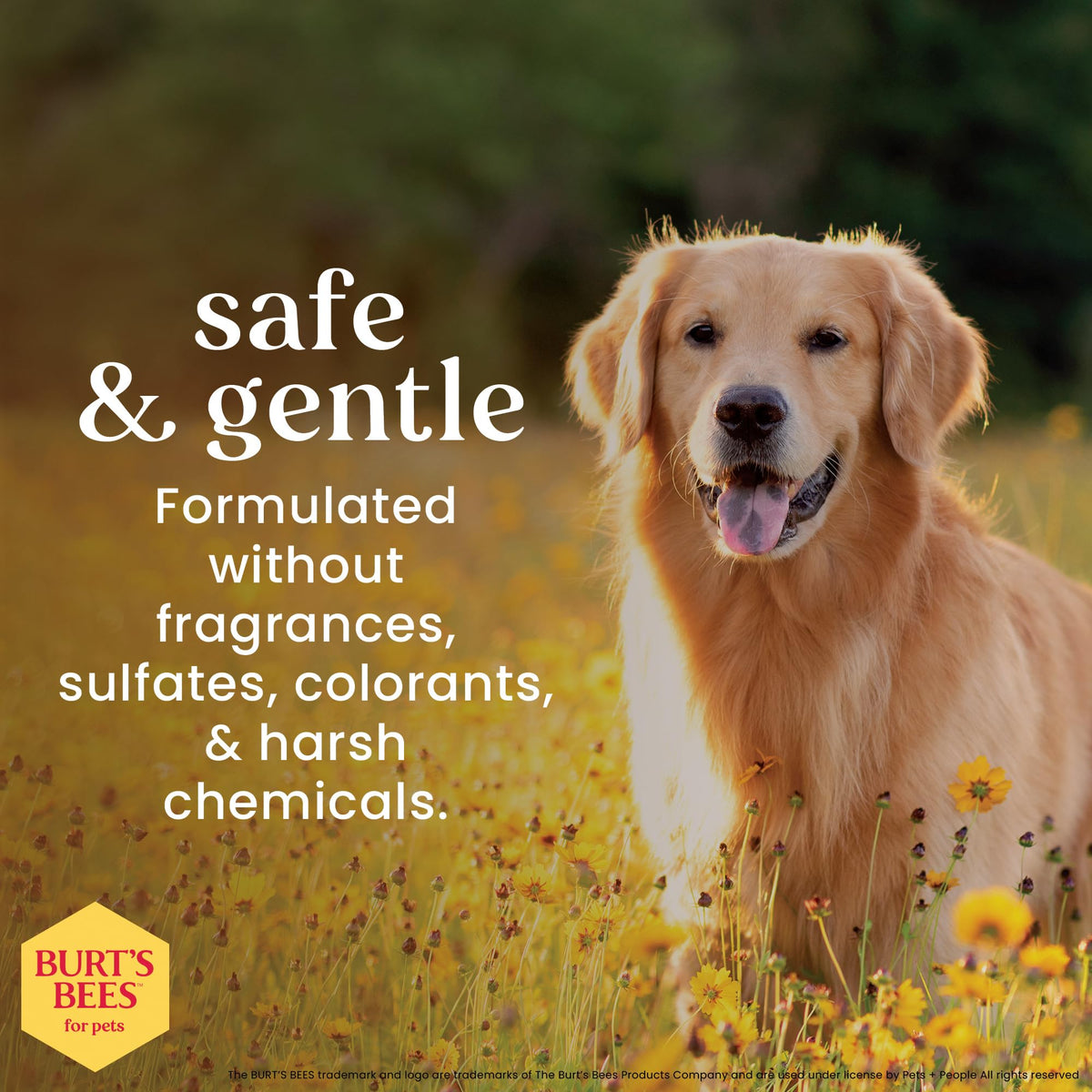 Fragrance-Free Oatmeal Dog Conditioner 10 Fl Oz R765