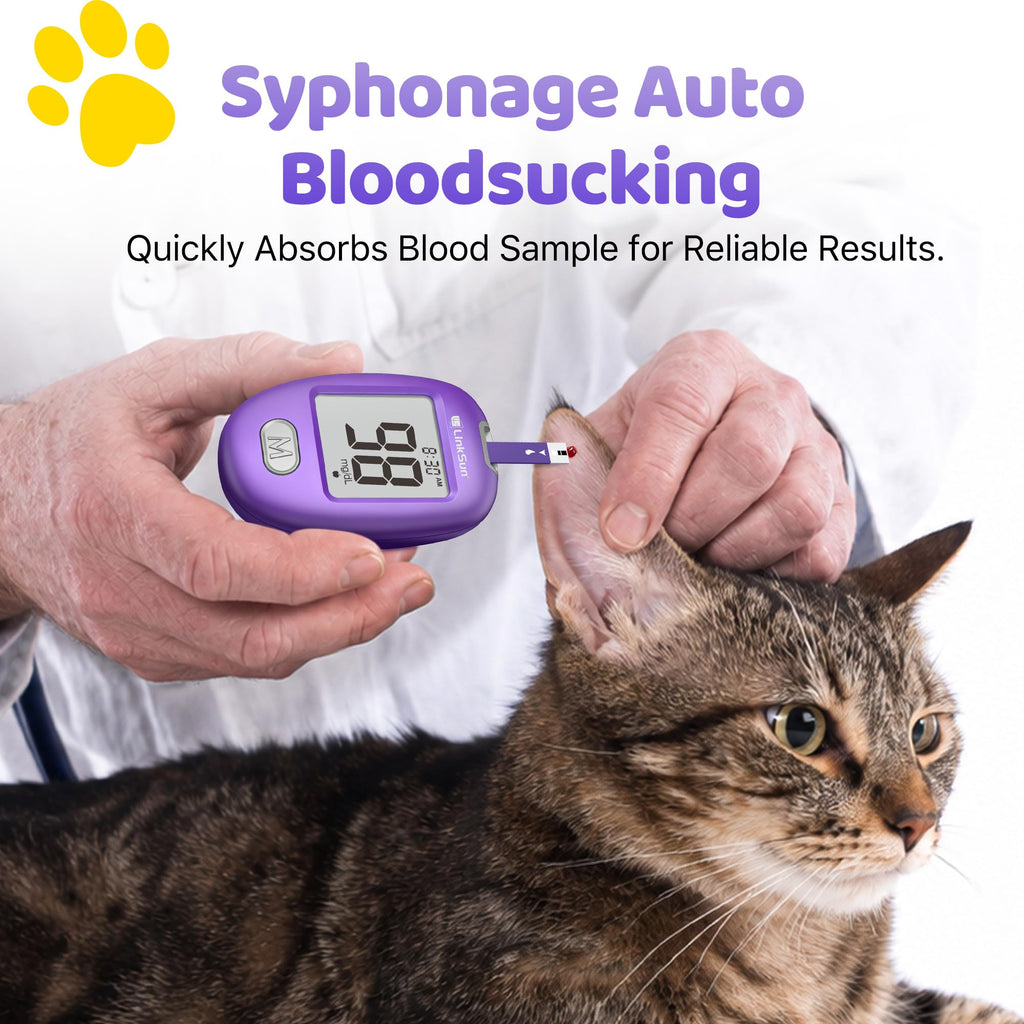 Pet Glucose Test Strip for Dogs & Cats, 100PCS V914