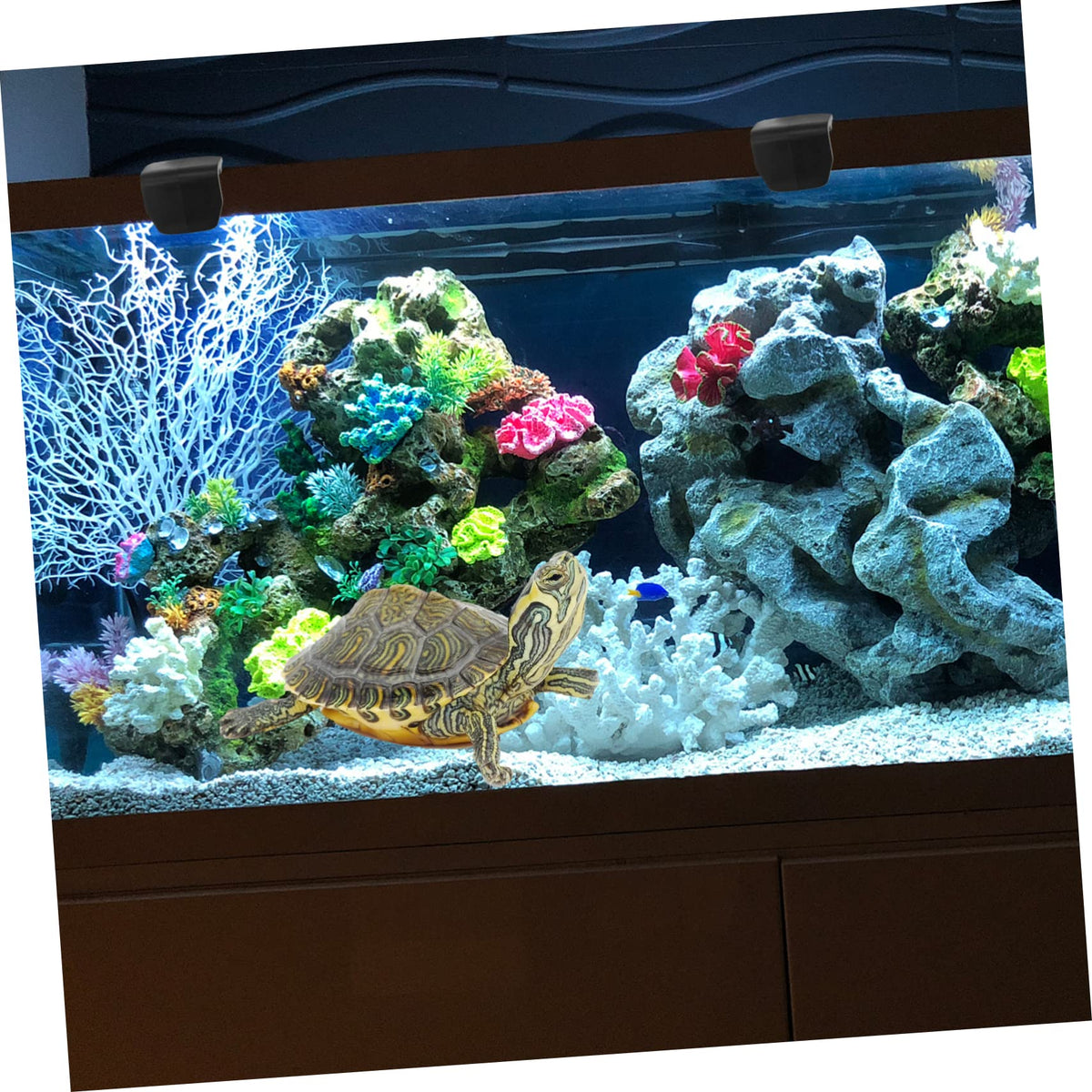 Gecko Tank Terrarium Screen Clips E4457