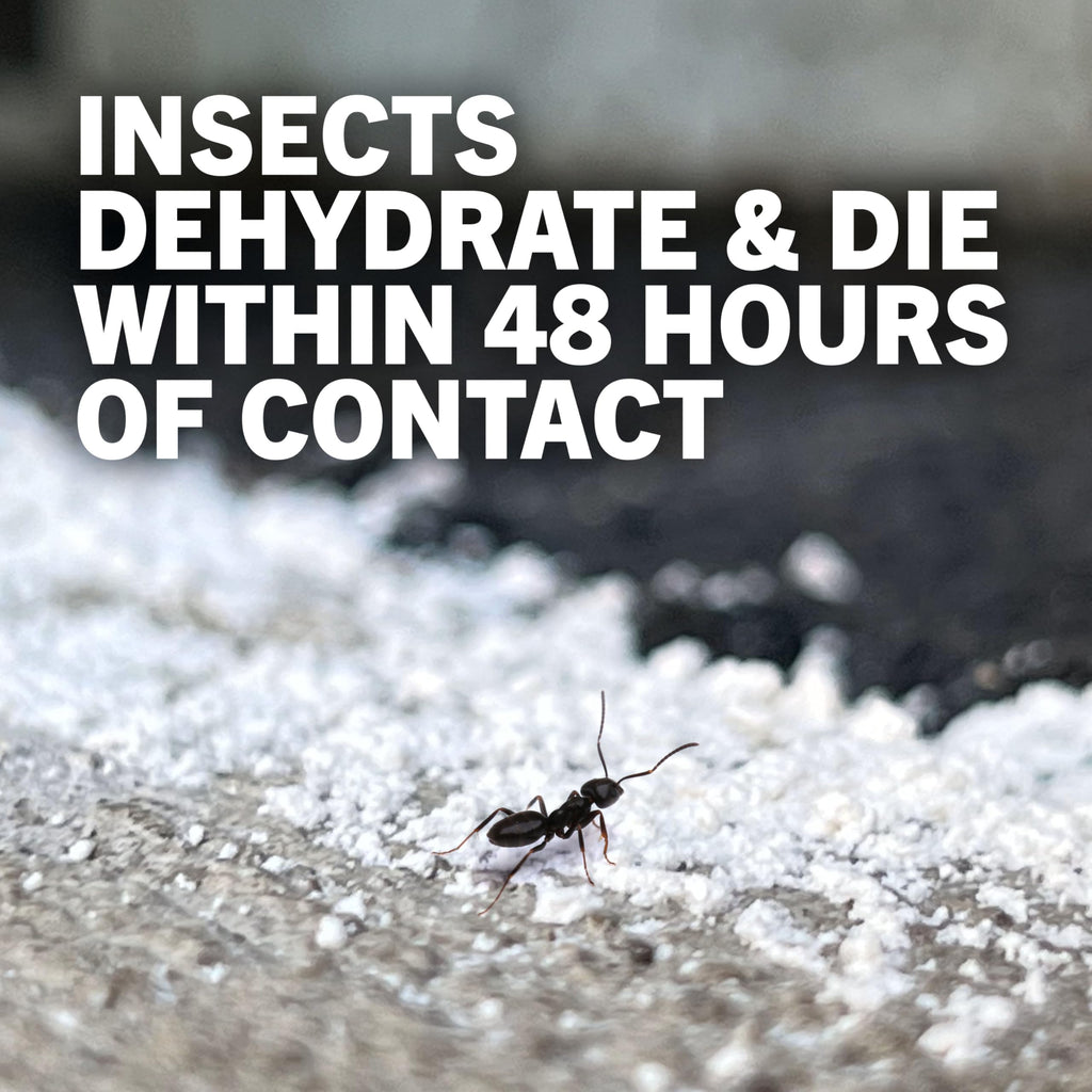4 lb Diatomaceous Earth Crawling Insect Killer U2525