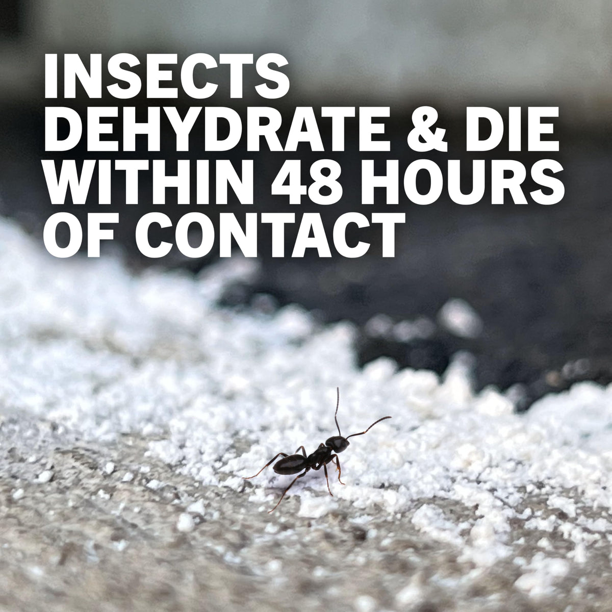 4 lb Diatomaceous Earth Crawling Insect Killer U2525
