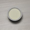 Instant Nonfat Dry Milk Powder H496